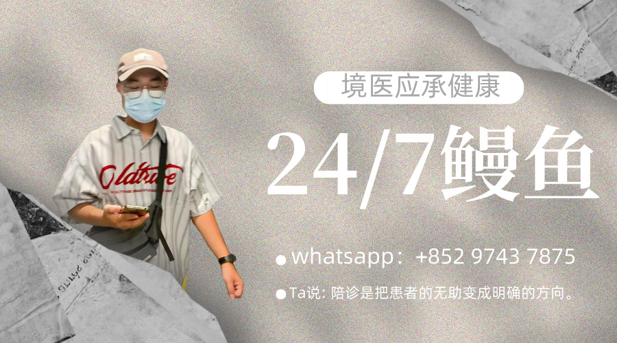 鳗鱼